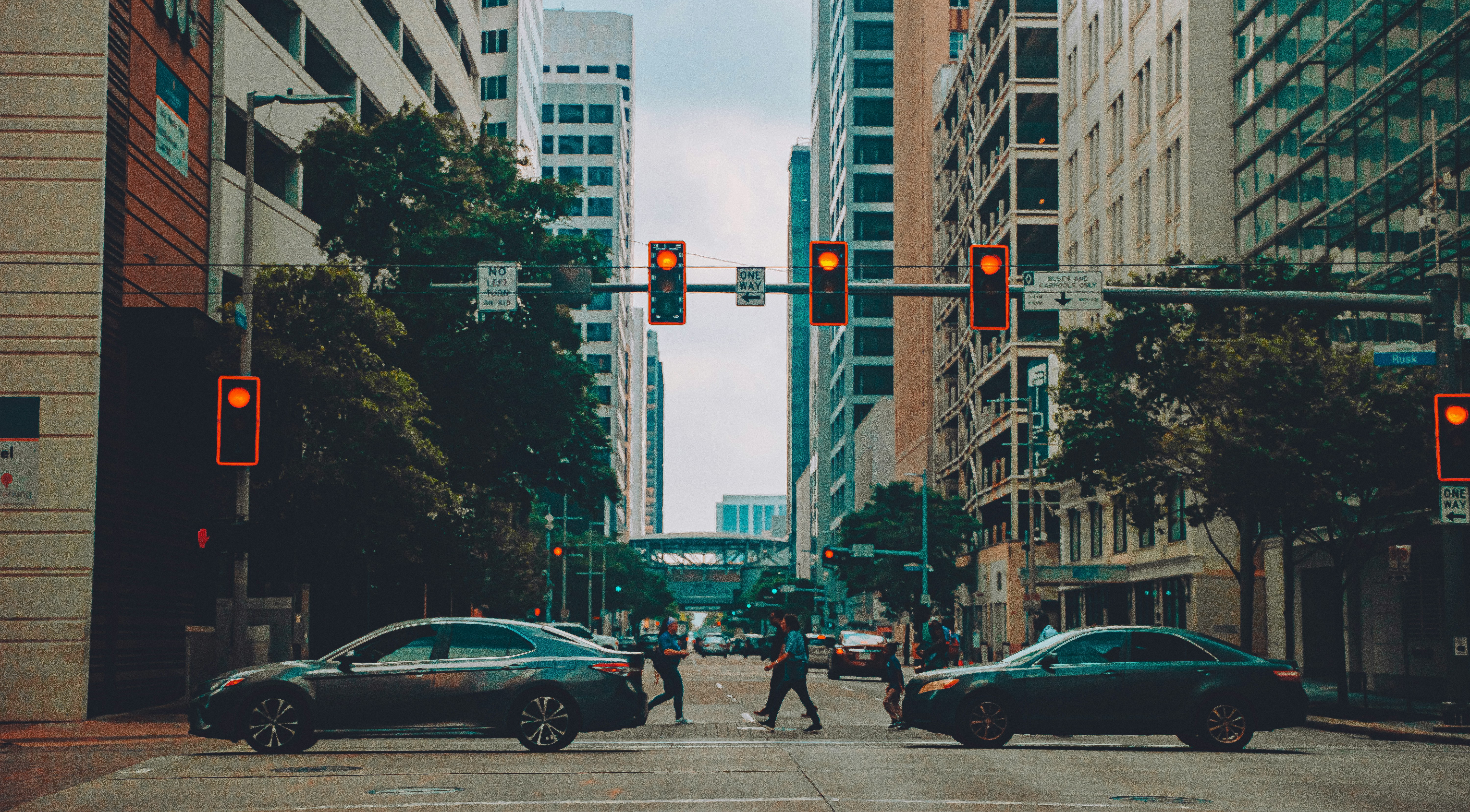 Photo by thinhngtrung