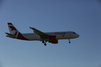 An Airbus aircraft bearing the Somalia Air logo, soaring gracefully against a clear sky.