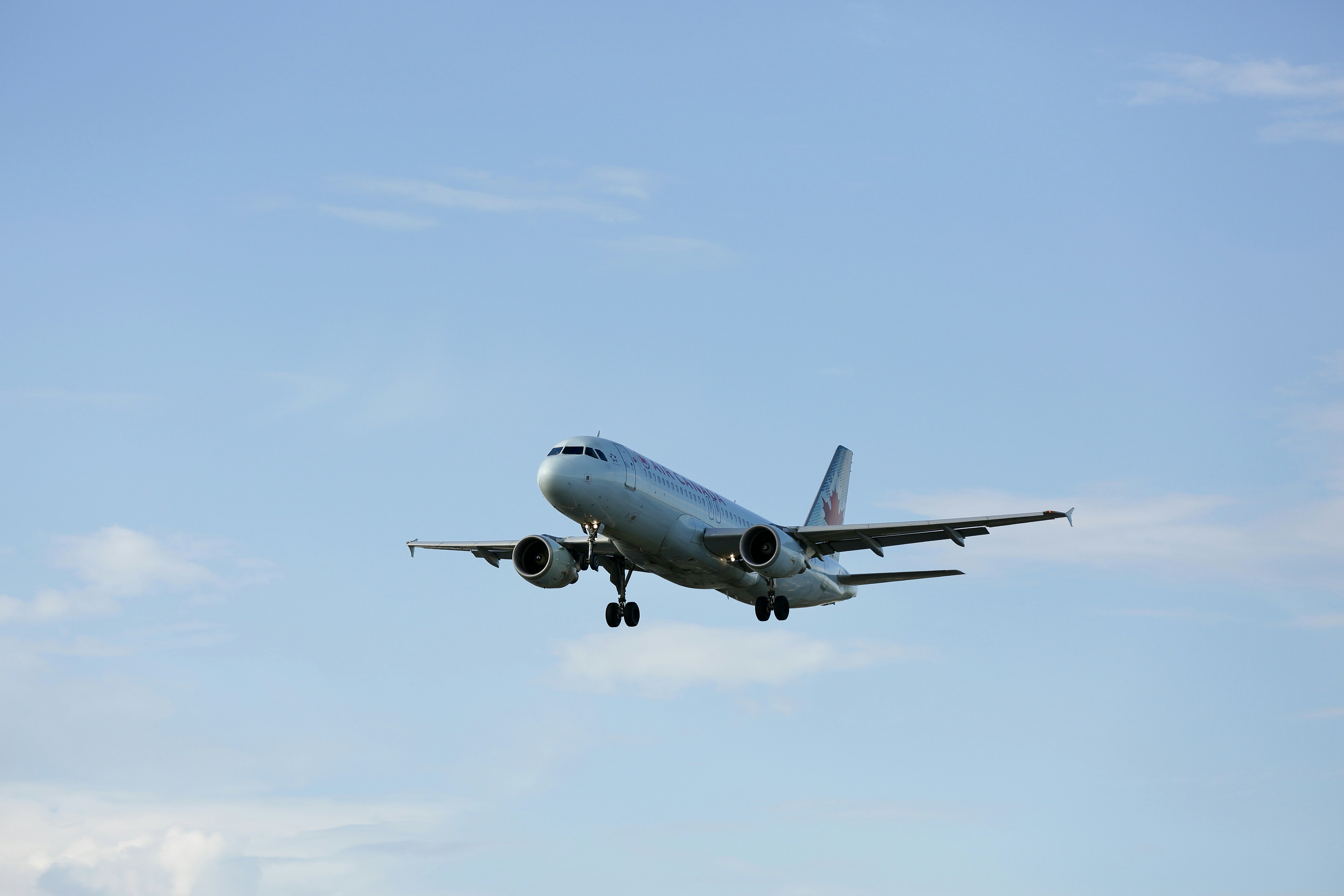 Photo by donniebrasc0