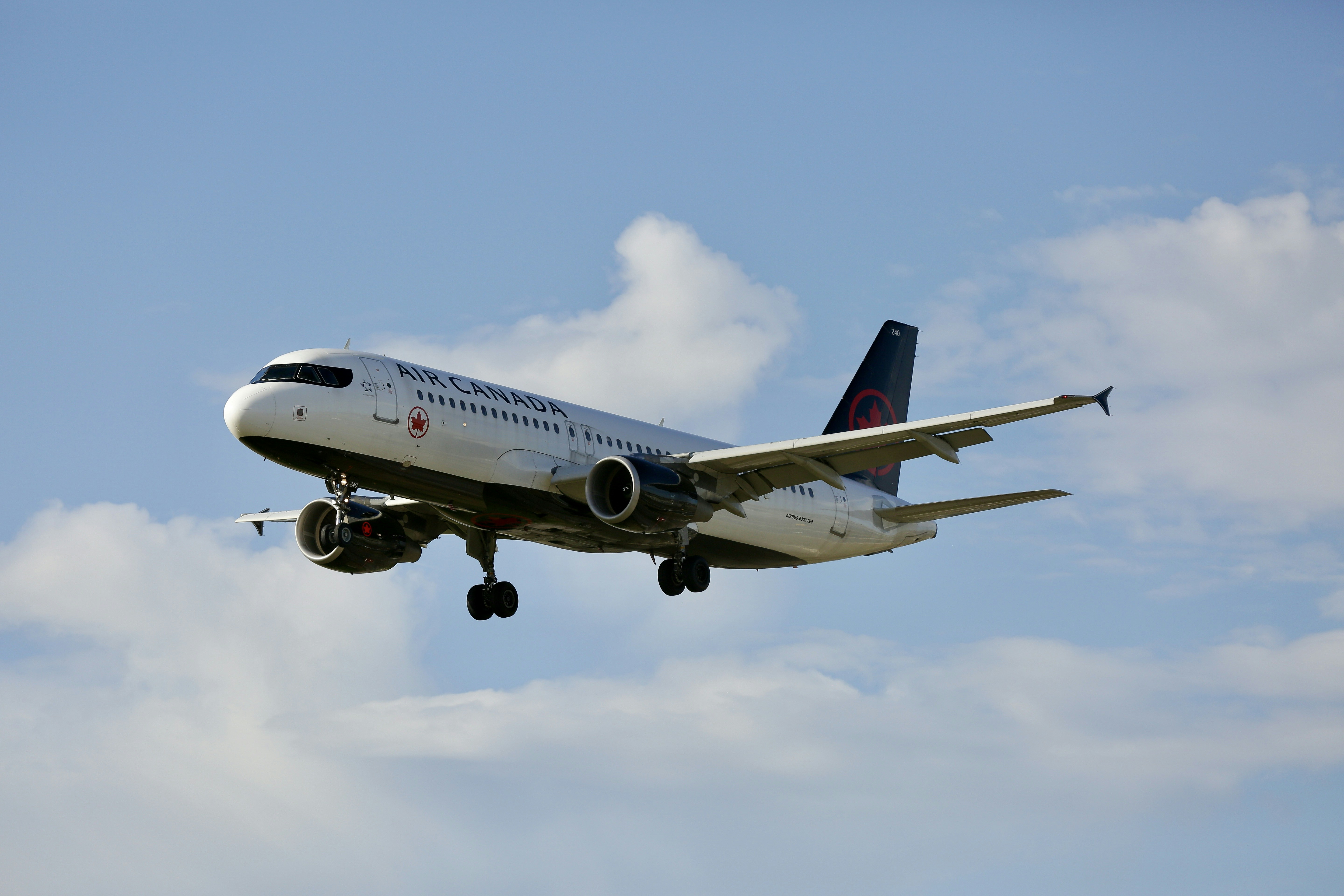 Photo by donniebrasc0