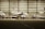 Inside a spacious aircraft hangar, a white jet is being serviced. A person in blue is standing on a ladder near the aircraft, engaged in maintenance work. The hangar is well-lit with several other aircraft visible in the background.