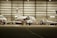 Inside a spacious aircraft hangar, a white jet is being serviced. A person in blue is standing on a ladder near the aircraft, engaged in maintenance work. The hangar is well-lit with several other aircraft visible in the background.