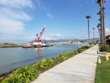 A red and white crane ship is positioned in a body of water near a shoreline. The area is bordered by a paved walkway lined with tall palm trees and green shrubs. The background features distant mountains under a partly cloudy sky.