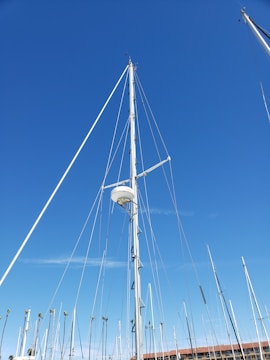 A marina filled with tall sailboat masts against a clear blue sky. The central focus is a prominent white mast with a radar dome attached. Various other masts and rigging wires are visible in the background, with a few palm trees and a low-rise building.