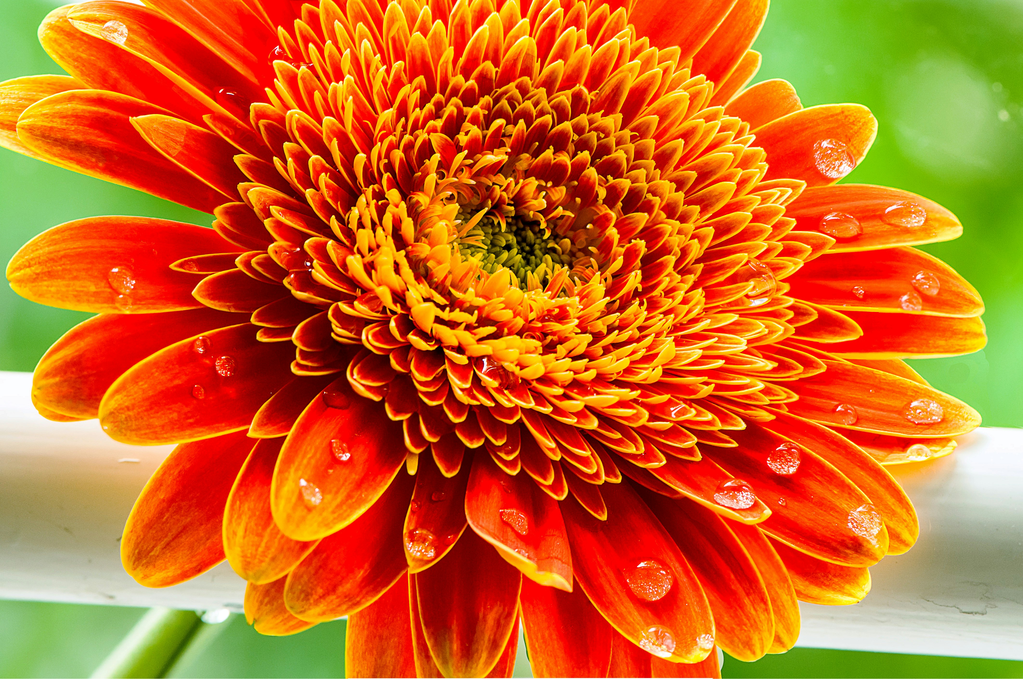 Photo by amiraaartistry