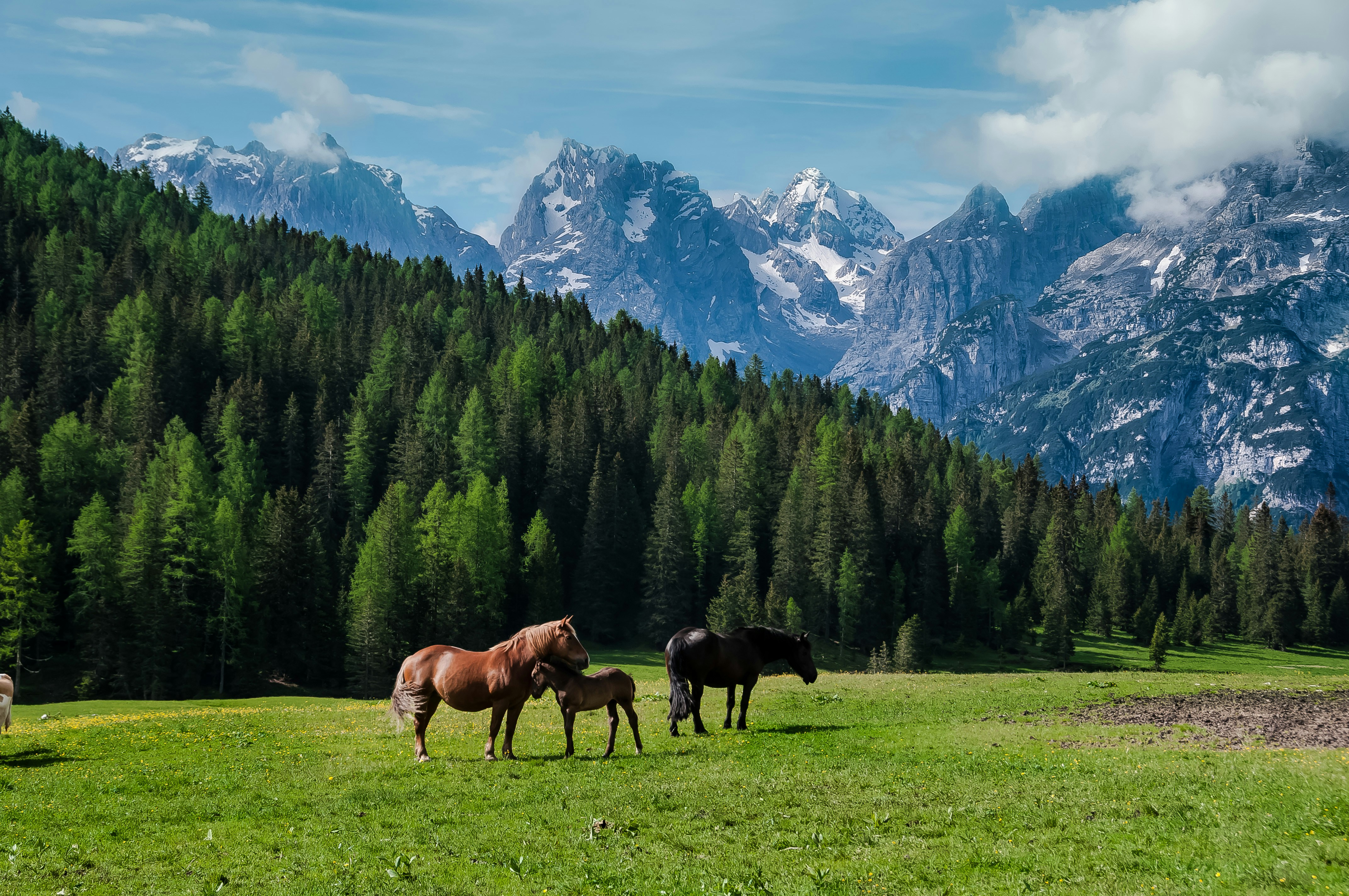 Photo by amiraaartistry