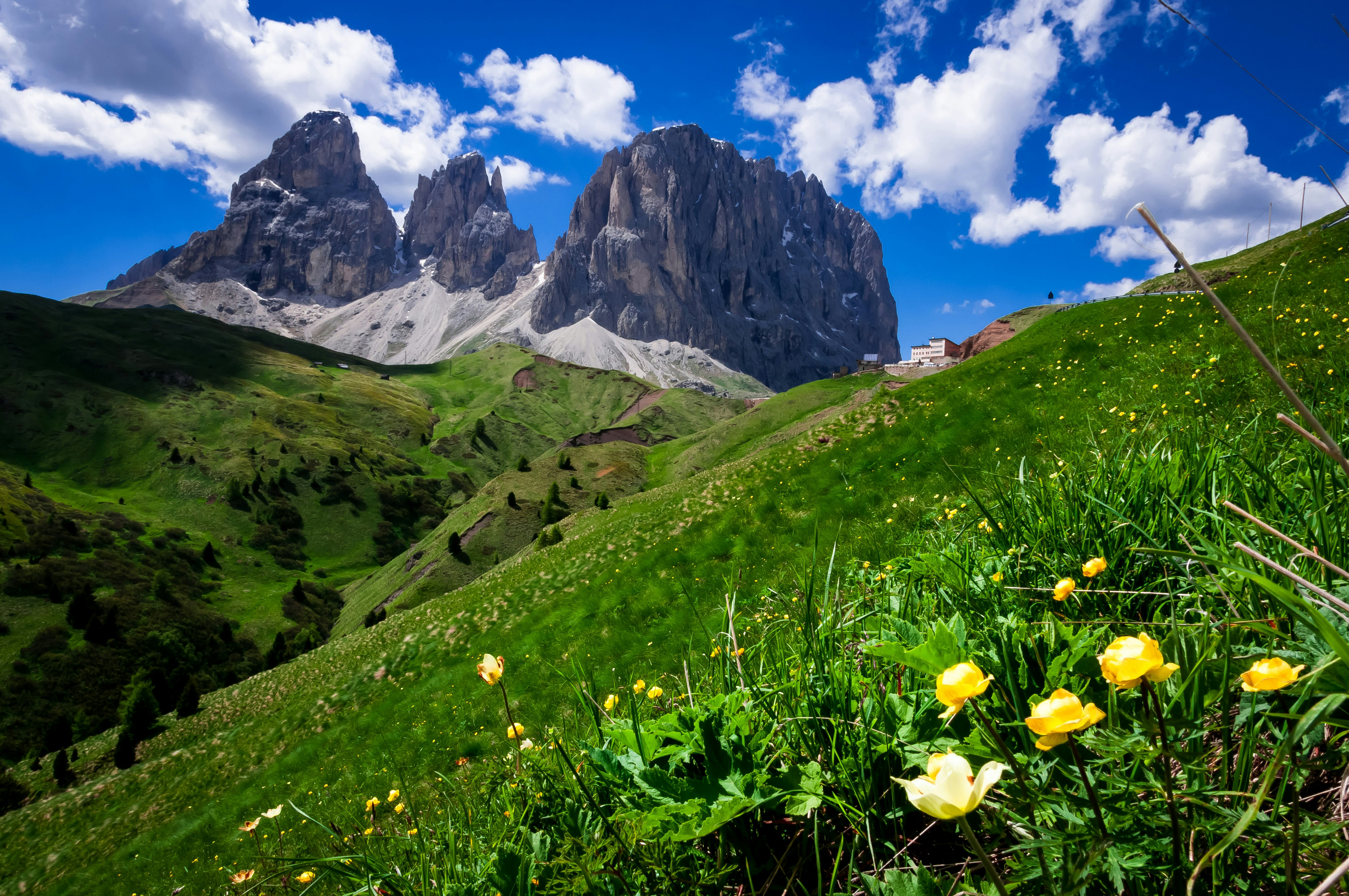 Photo by amiraaartistry