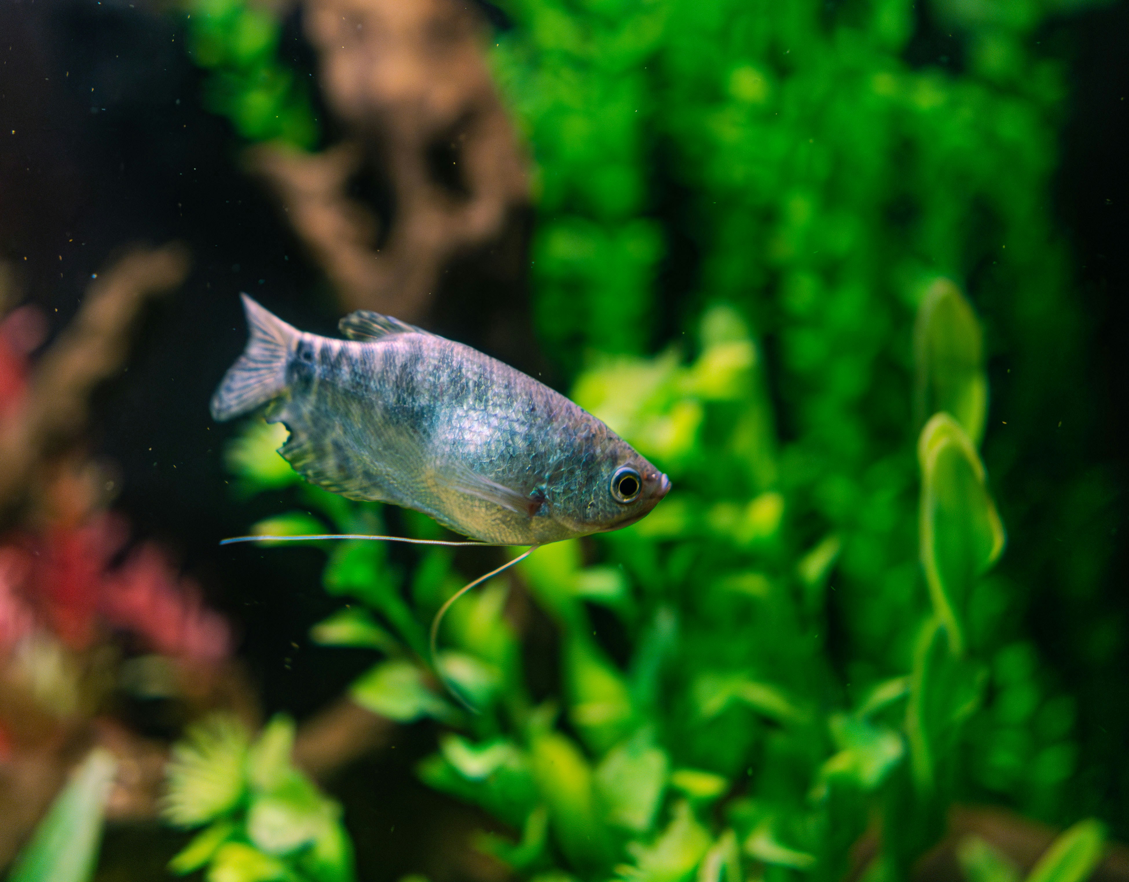 Photo by devilunknown