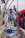 Several individuals are engaged in a community cleanup, collecting trash from a gutter. They are dressed casually and are focused on picking up plastic bottles and litter. The setting is outdoors, with bags to collect the trash.