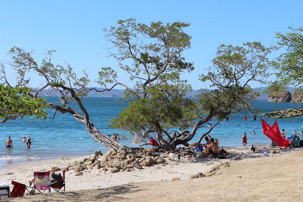 a group of people sitting on top of a sandy beach