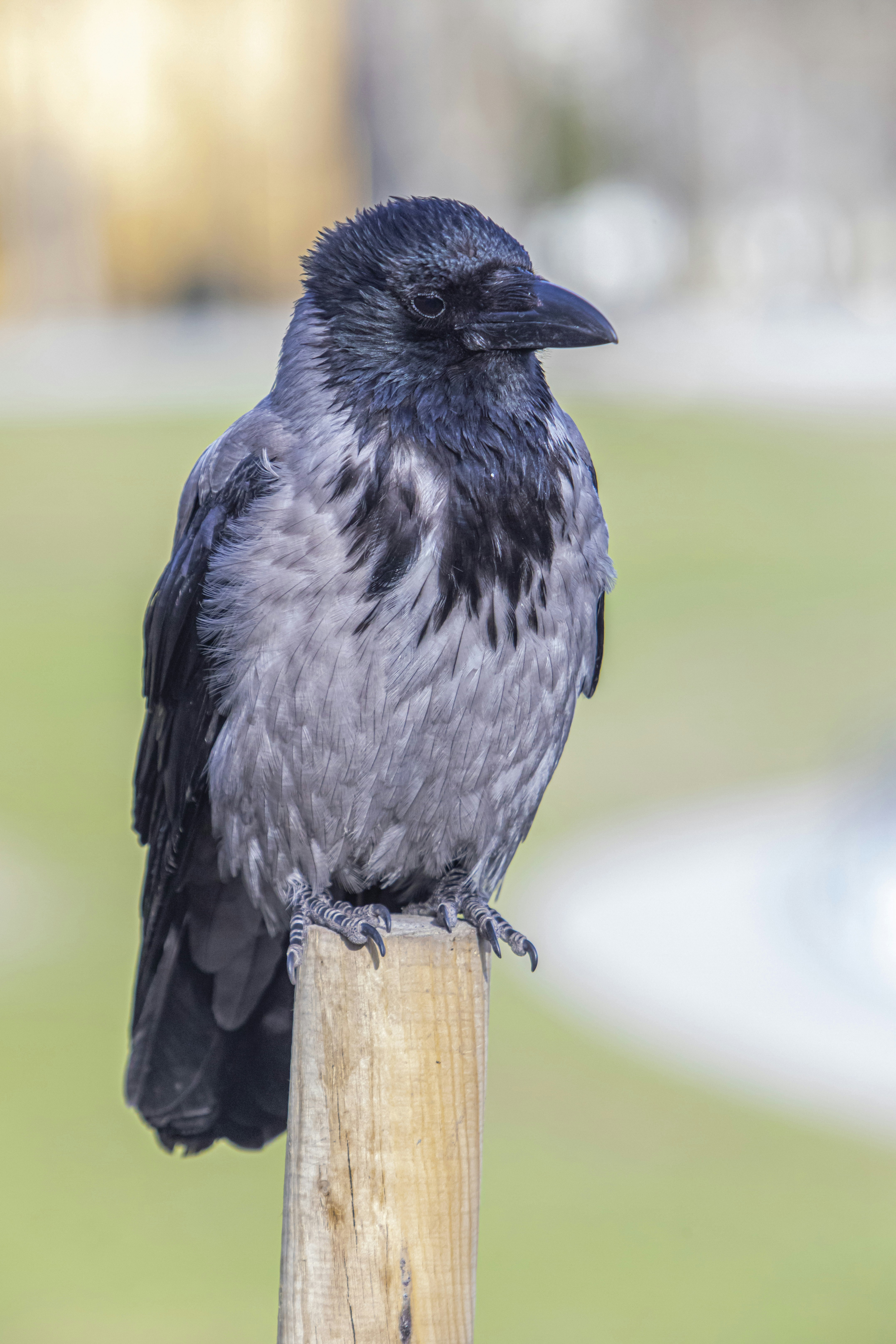 Photo by erik_karits