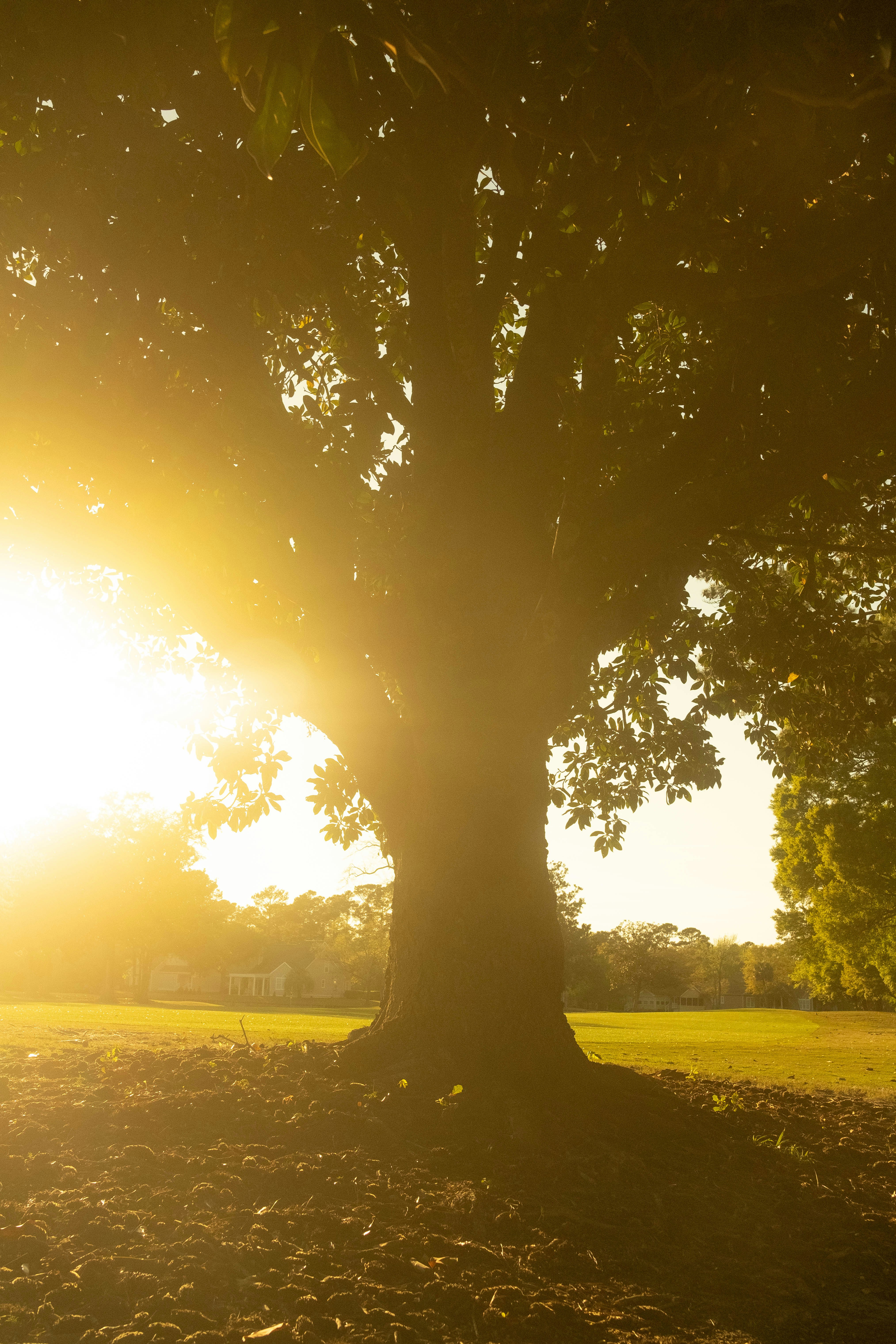 Photo by thejustinhall