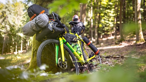 A bicycle loaded with camping gear leans against a tree in a lush forest. The bike features multiple storage bags and appears ready for a bikepacking adventure. Sunlight filters through the trees, creating a serene and adventurous setting.