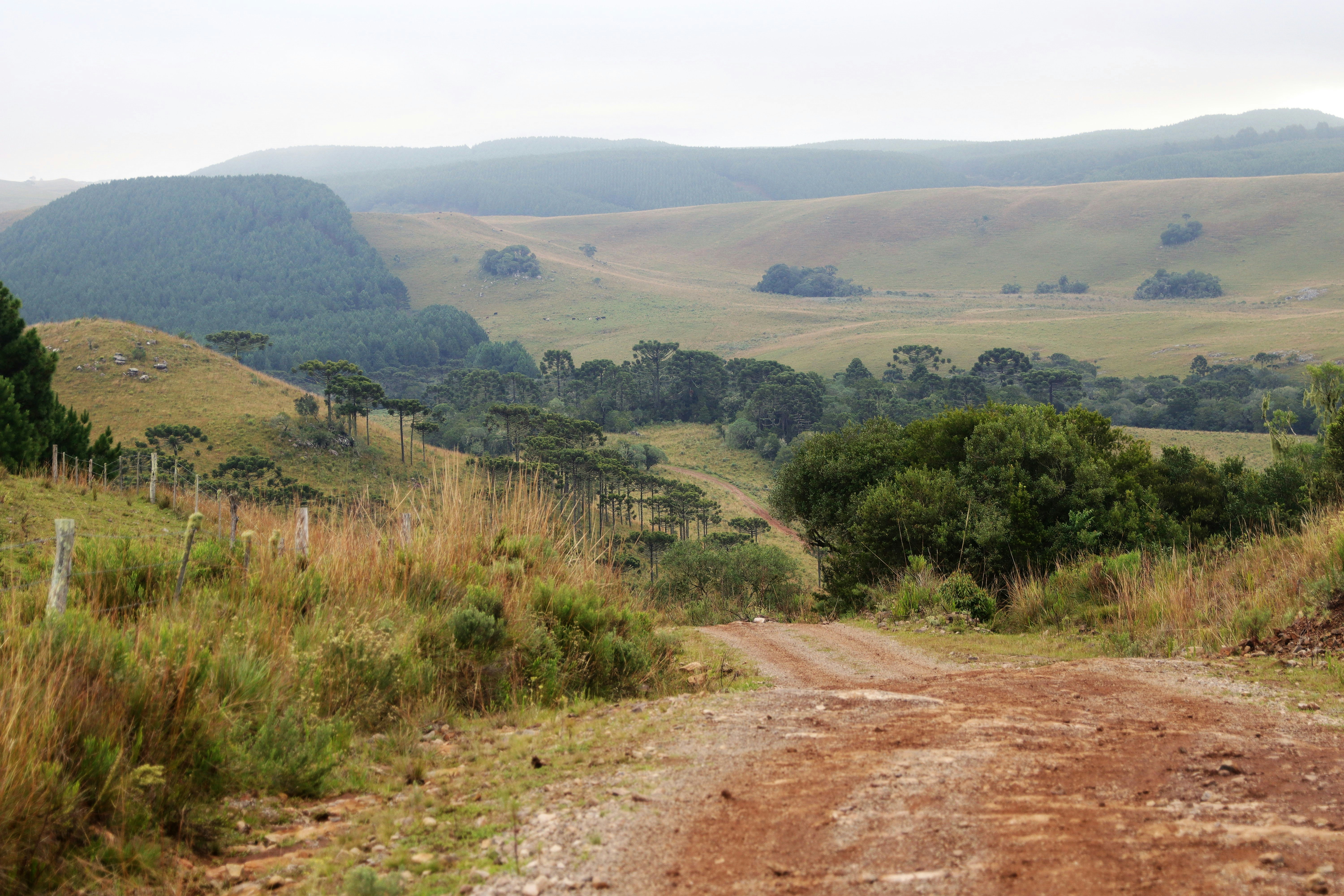 Roads from Cambará do Sul to Lajeado das Daisies