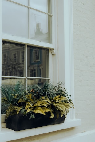 Close-up of a sleek matte black planter holding a lush fern, sitting on a sunlit windowsill.