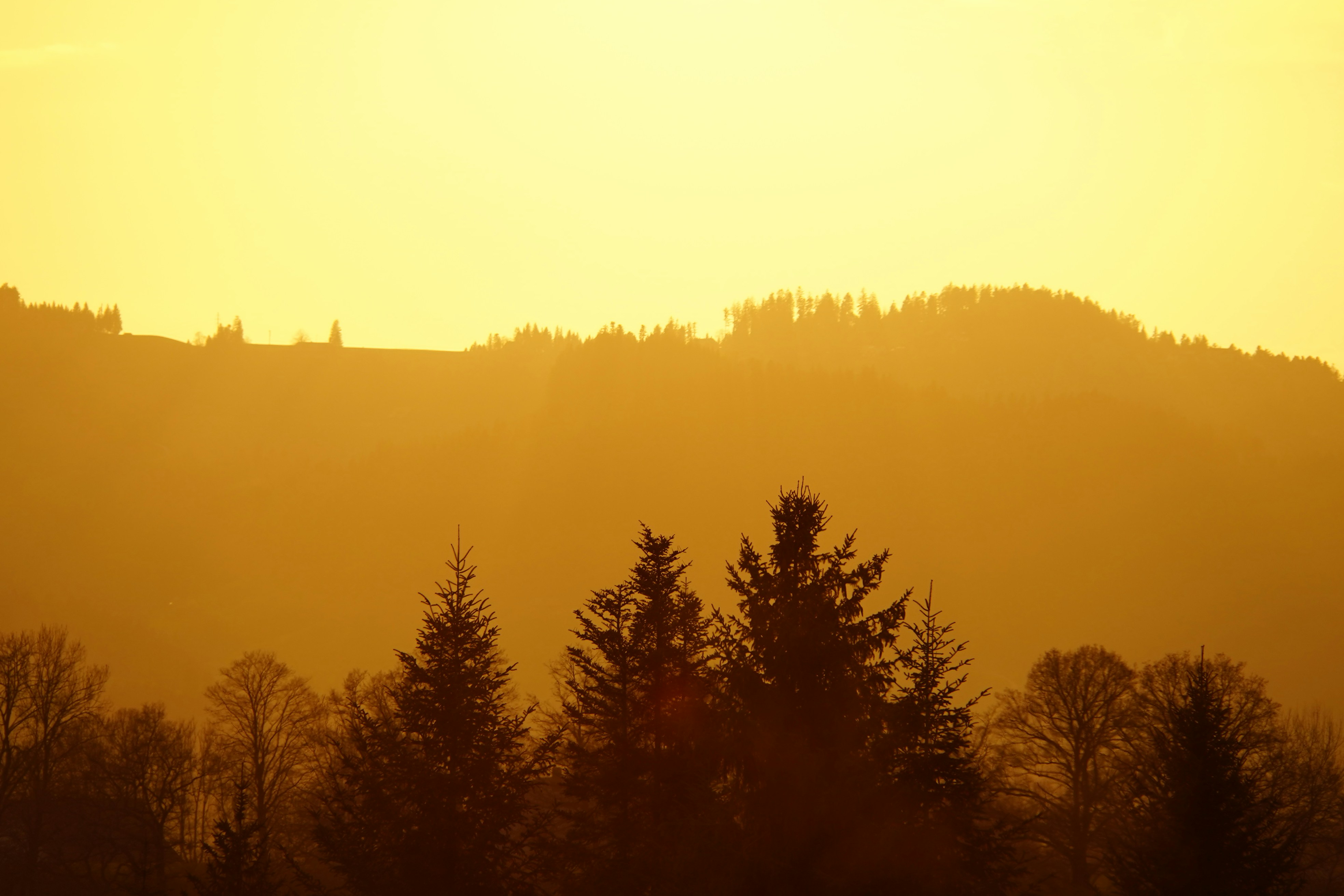 Nightlife Guide to Offenbach (2026)
