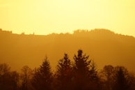 A serene landscape photo captured at golden hour, perfect for background use.
