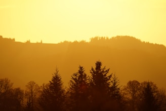 A serene landscape photo taken during golden hour with warm tones.