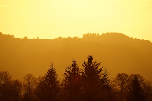 A serene landscape photo taken during golden hour with warm tones.