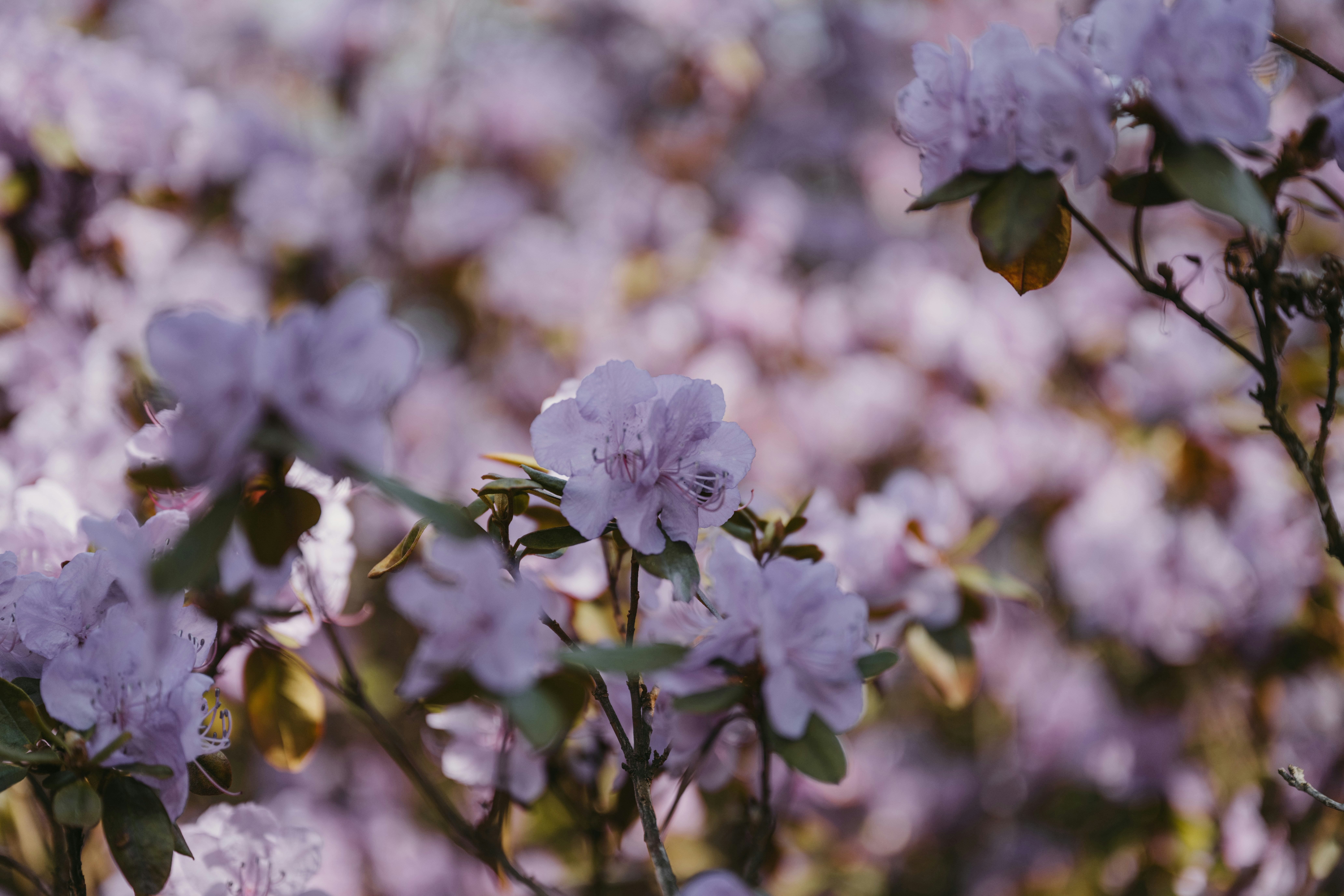 Photo by anitaaustvika