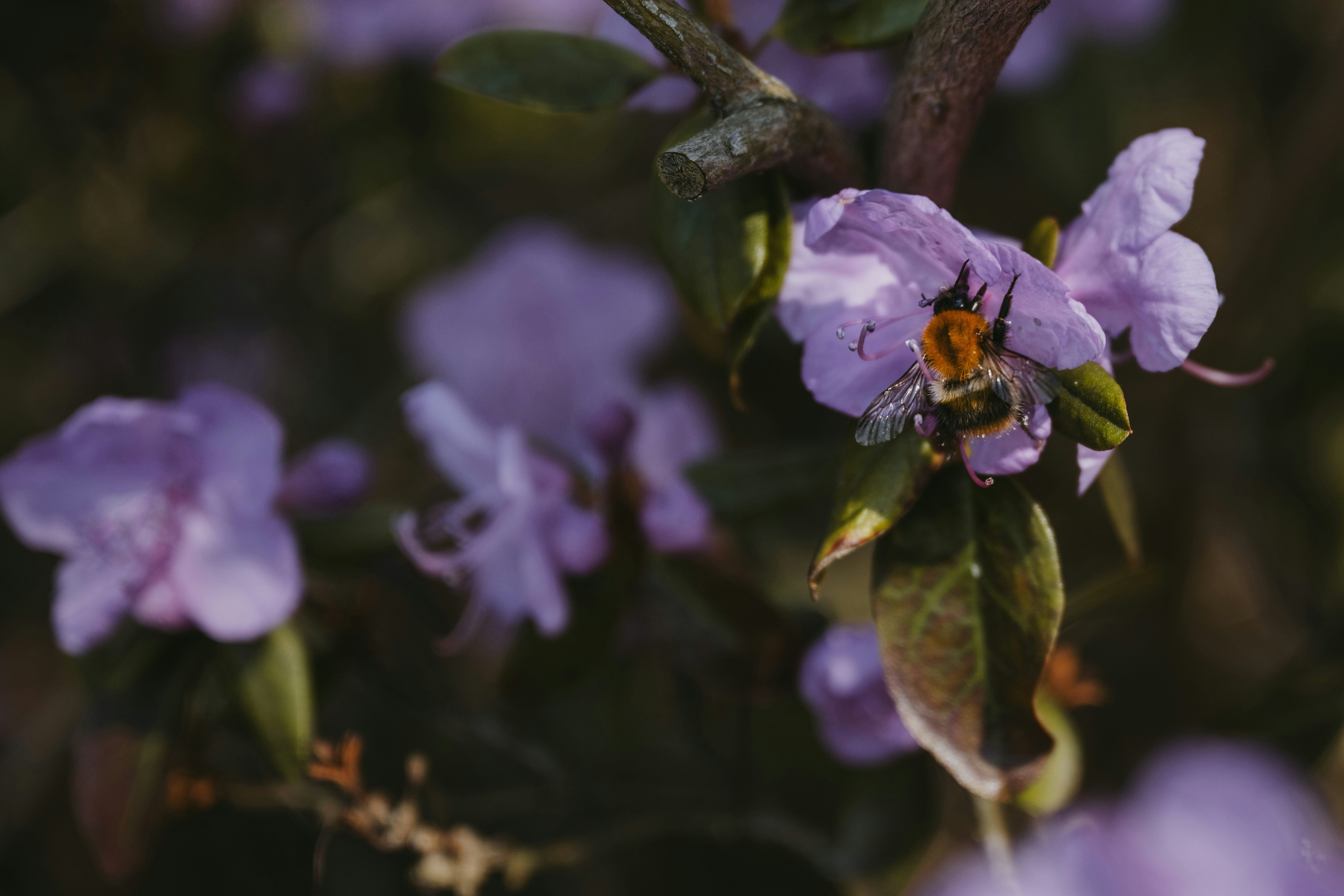 Photo by anitaaustvika