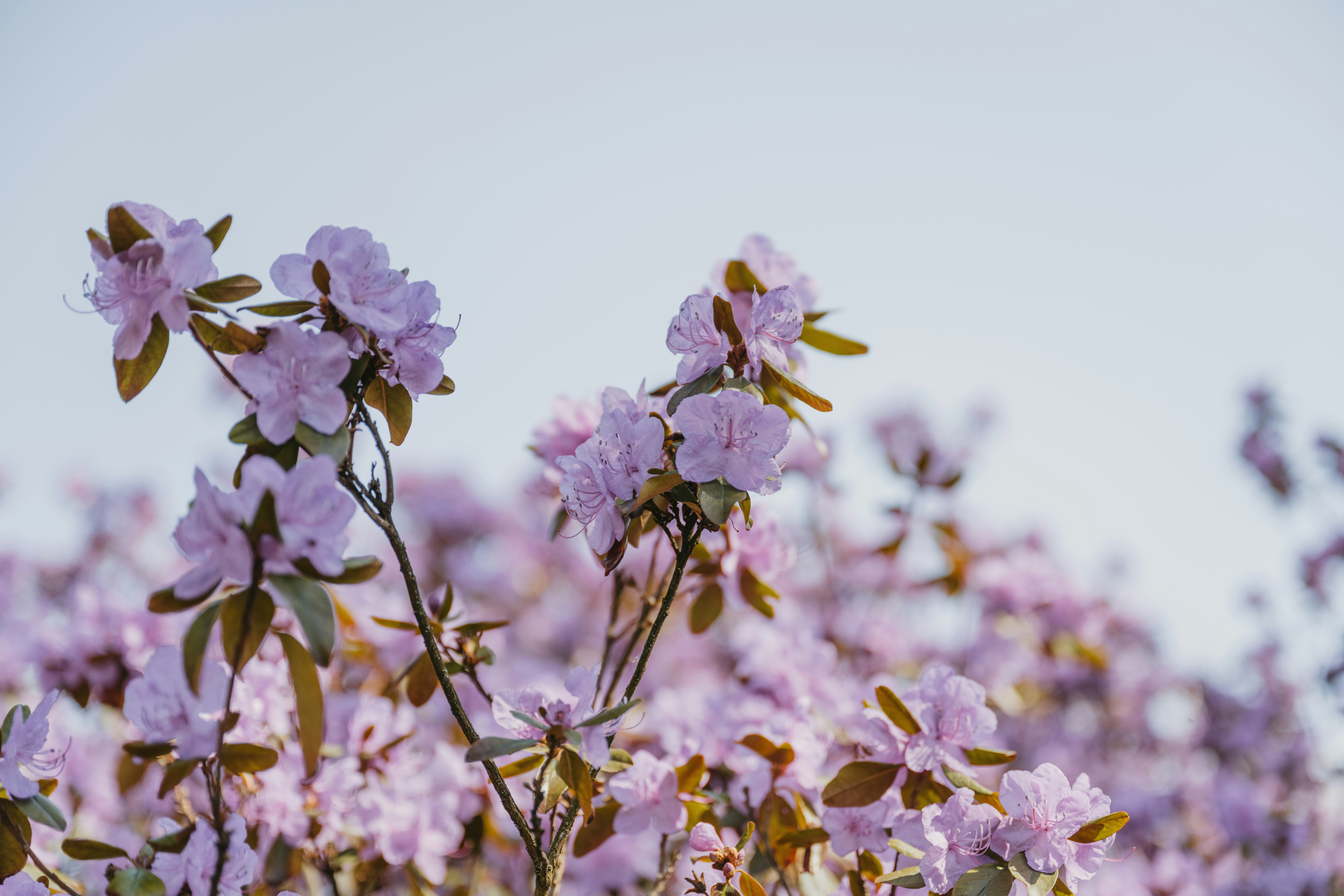 Photo by anitaaustvika