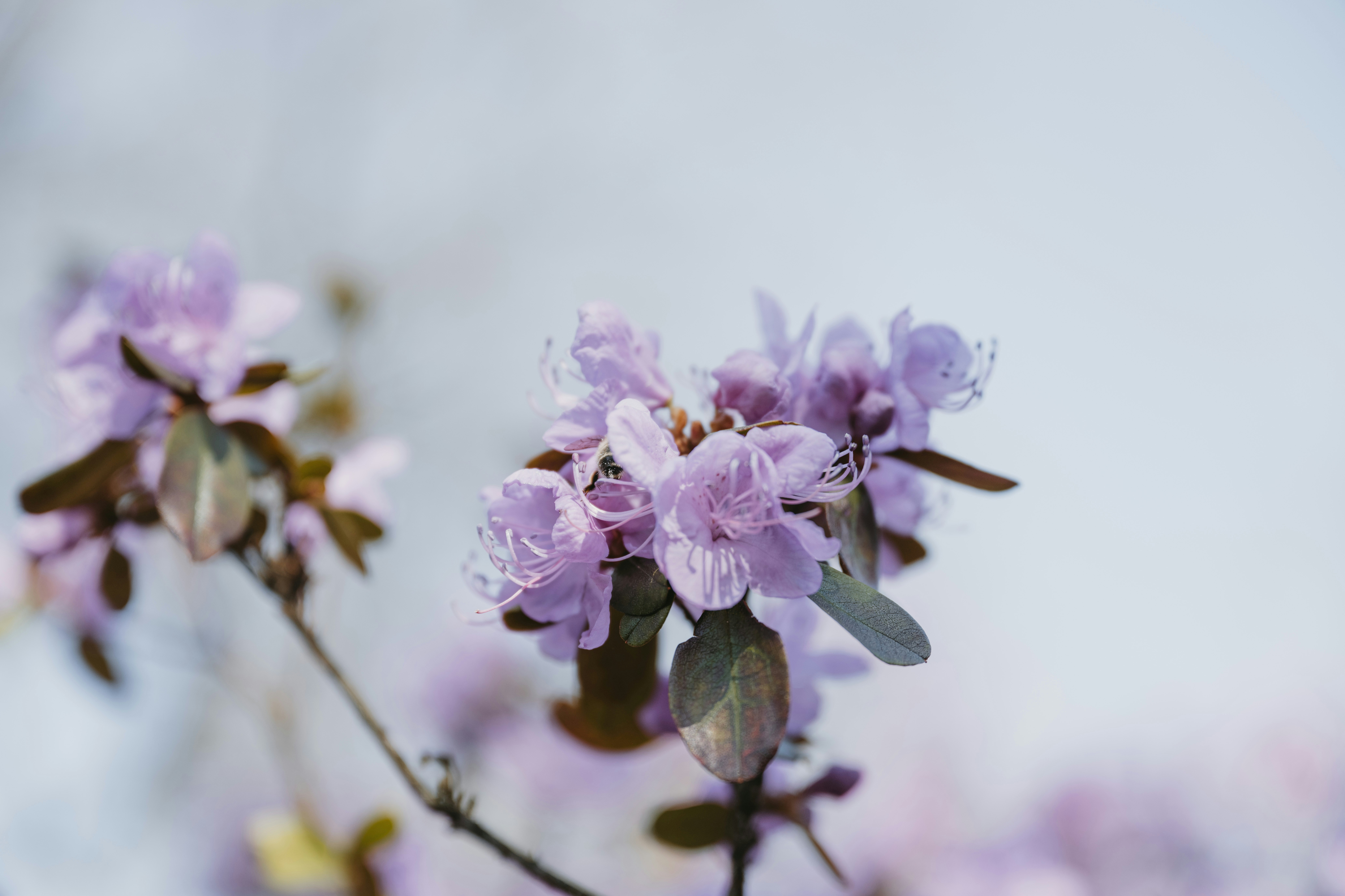 Photo by anitaaustvika