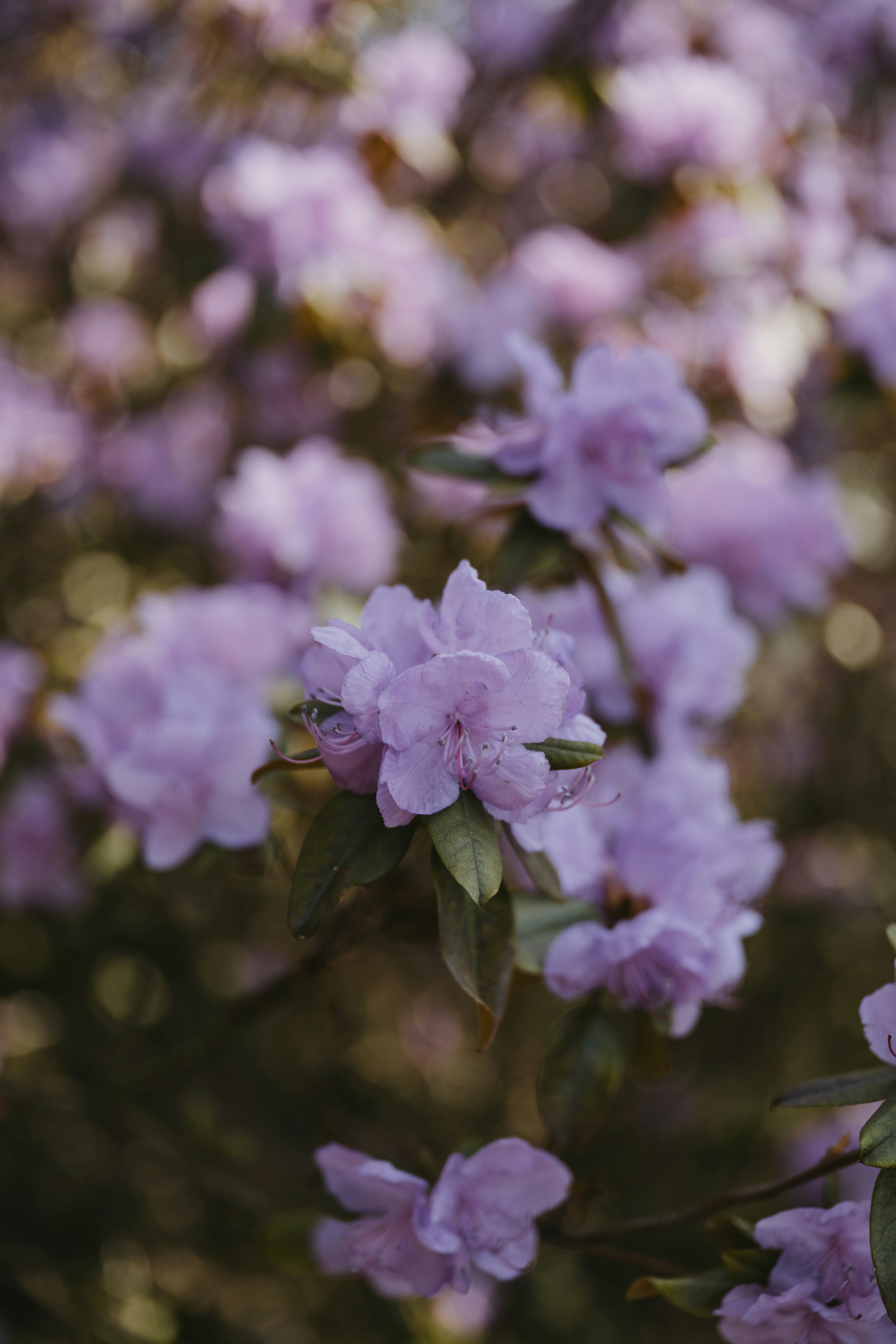 Photo by anitaaustvika