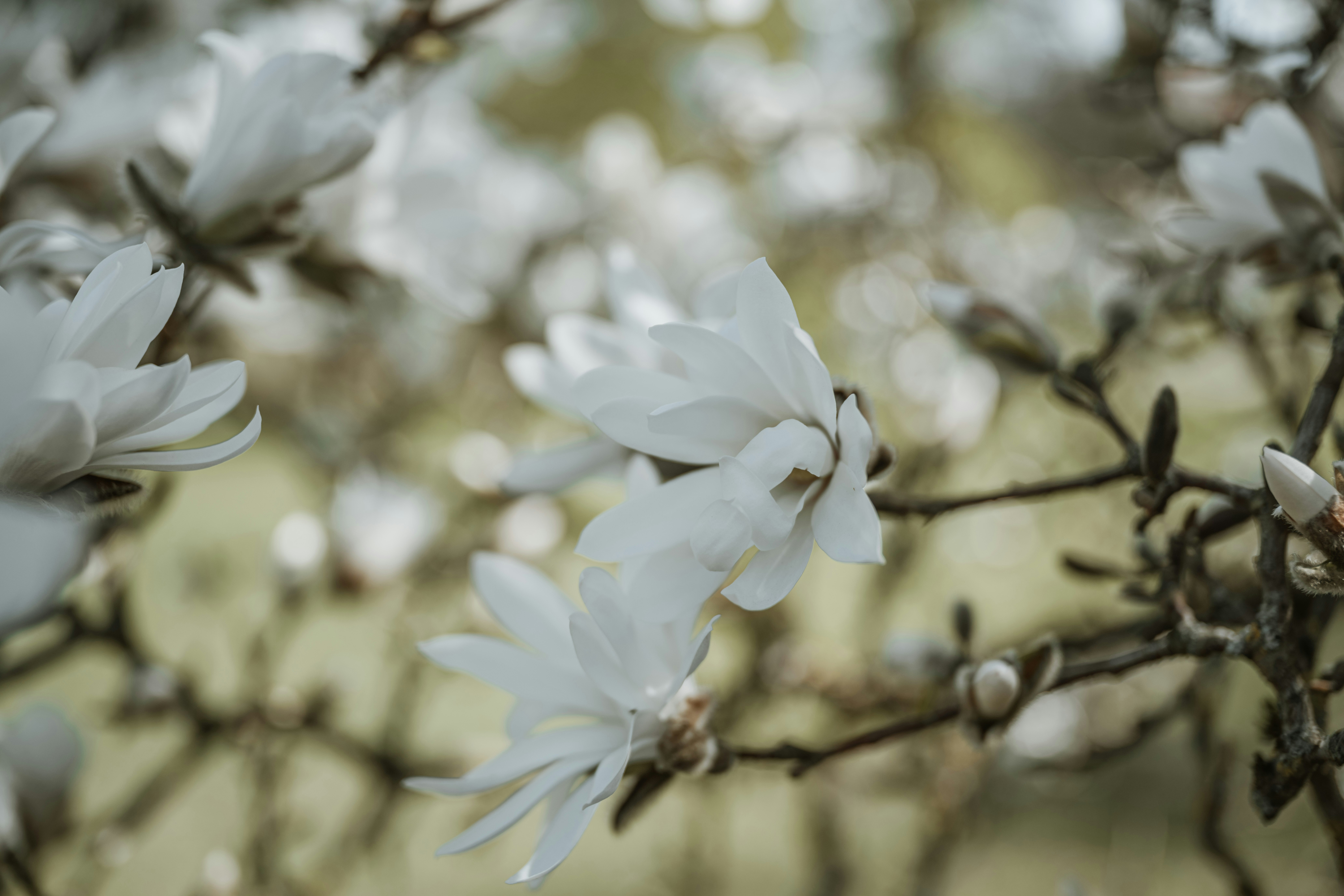 Photo by anitaaustvika