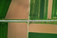 An aerial view of intersecting roads dividing large agricultural fields with varying shades of green and brown. The fields are neatly arranged, showing a contrast between cultivated land and verdant patches. A few vehicles are visible on the road.