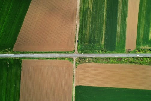 An aerial view of intersecting roads dividing large agricultural fields with varying shades of green and brown. The fields are neatly arranged, showing a contrast between cultivated land and verdant patches. A few vehicles are visible on the road.