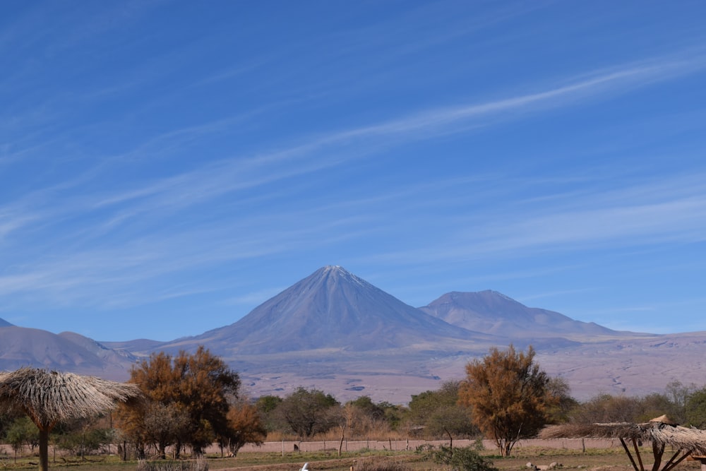 a field with trees and a mountain in the background