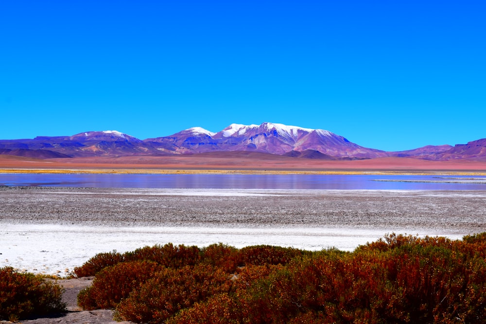 a large body of water surrounded by mountains