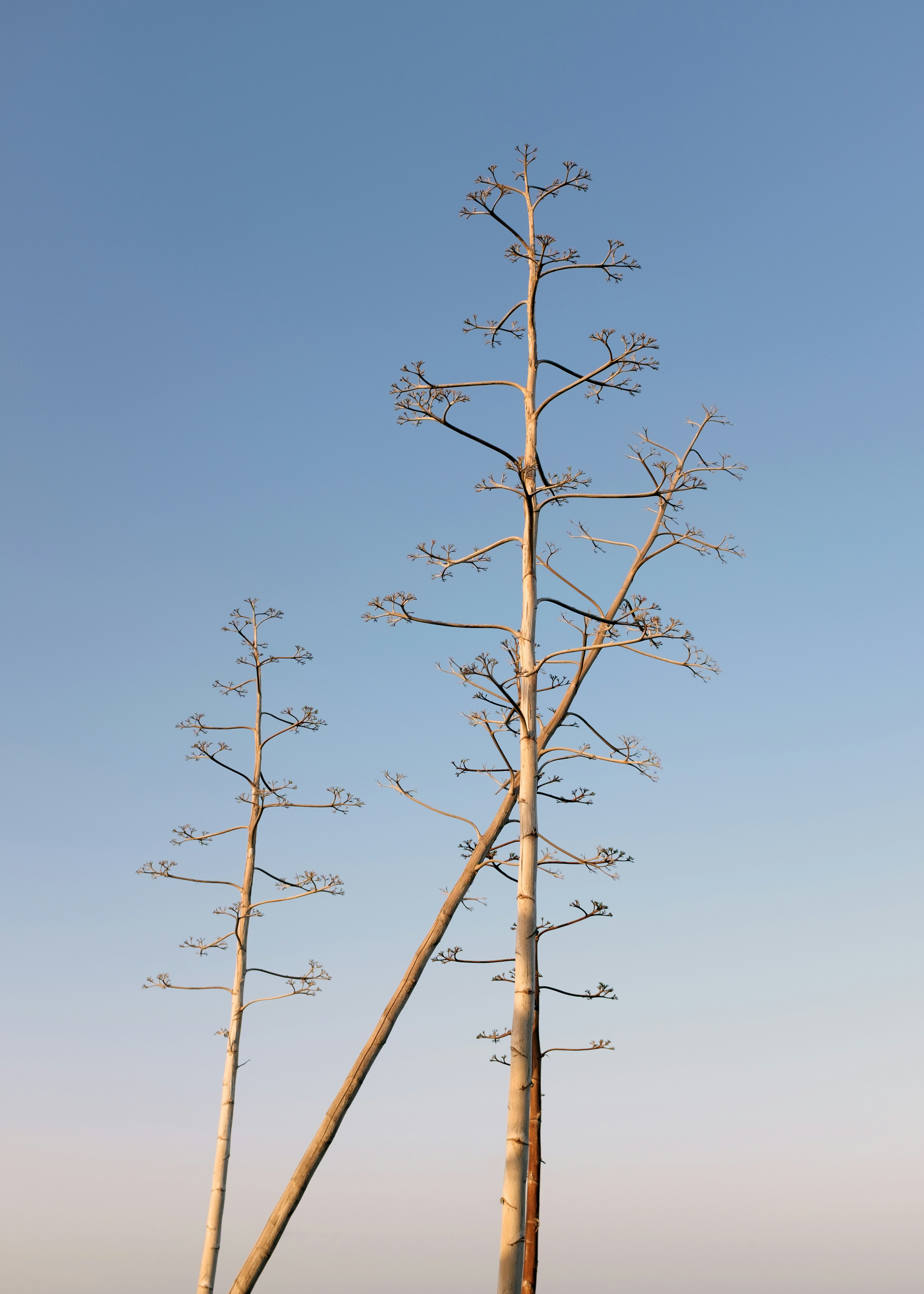 Photo by stasostrikov