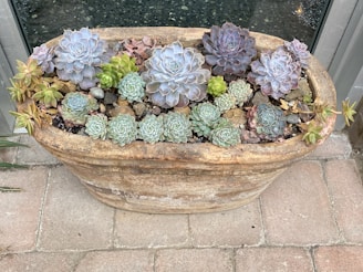 A large, rustic rectangular planter contains an assortment of succulent plants. The succulents vary in shape, size, and color, ranging from pale greens to purples, with some showing soft pink hues. The planter rests on a tiled surface next to a glass window, providing a natural and serene display.