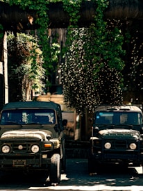 Two rugged, vintage-style jeeps parked in an outdoor setting with dappled sunlight filtering through thick, overhanging foliage. The area is filled with lush green plants and vines cascading from a stone structure above, creating a serene yet adventurous atmosphere.