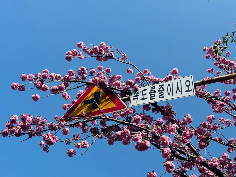 a street sign hanging off the side of a tree