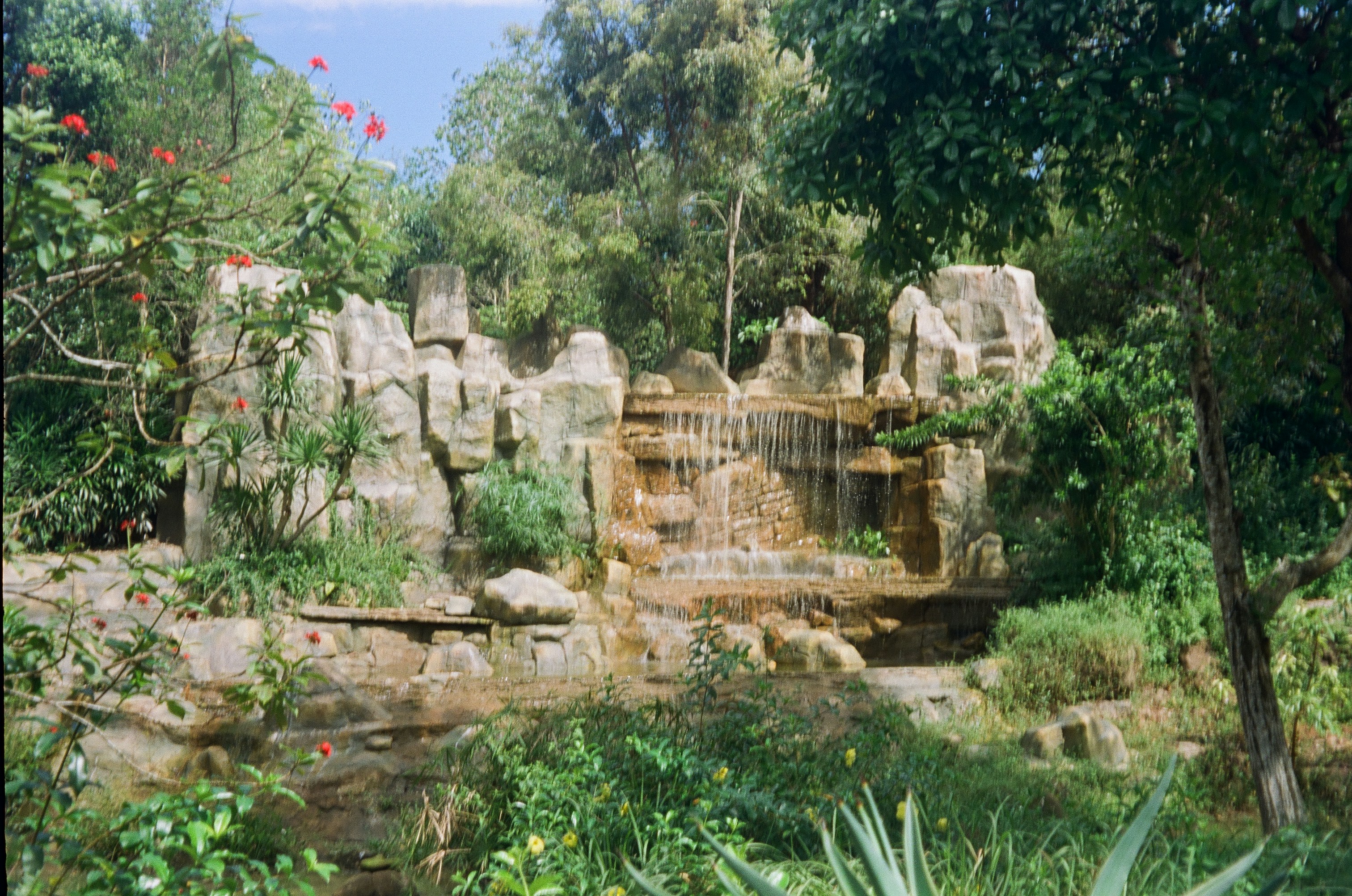 Bird Park