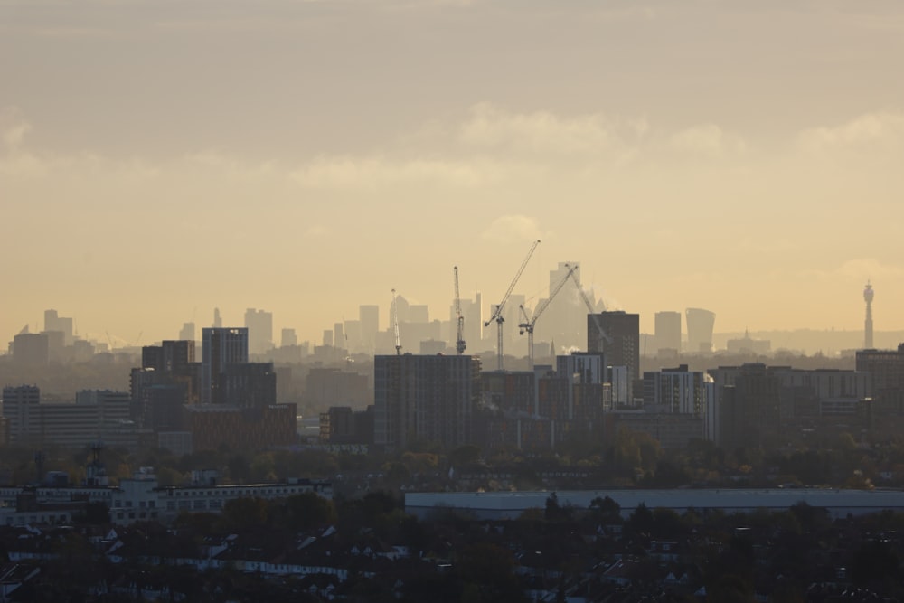 a city skyline with cranes in the distance