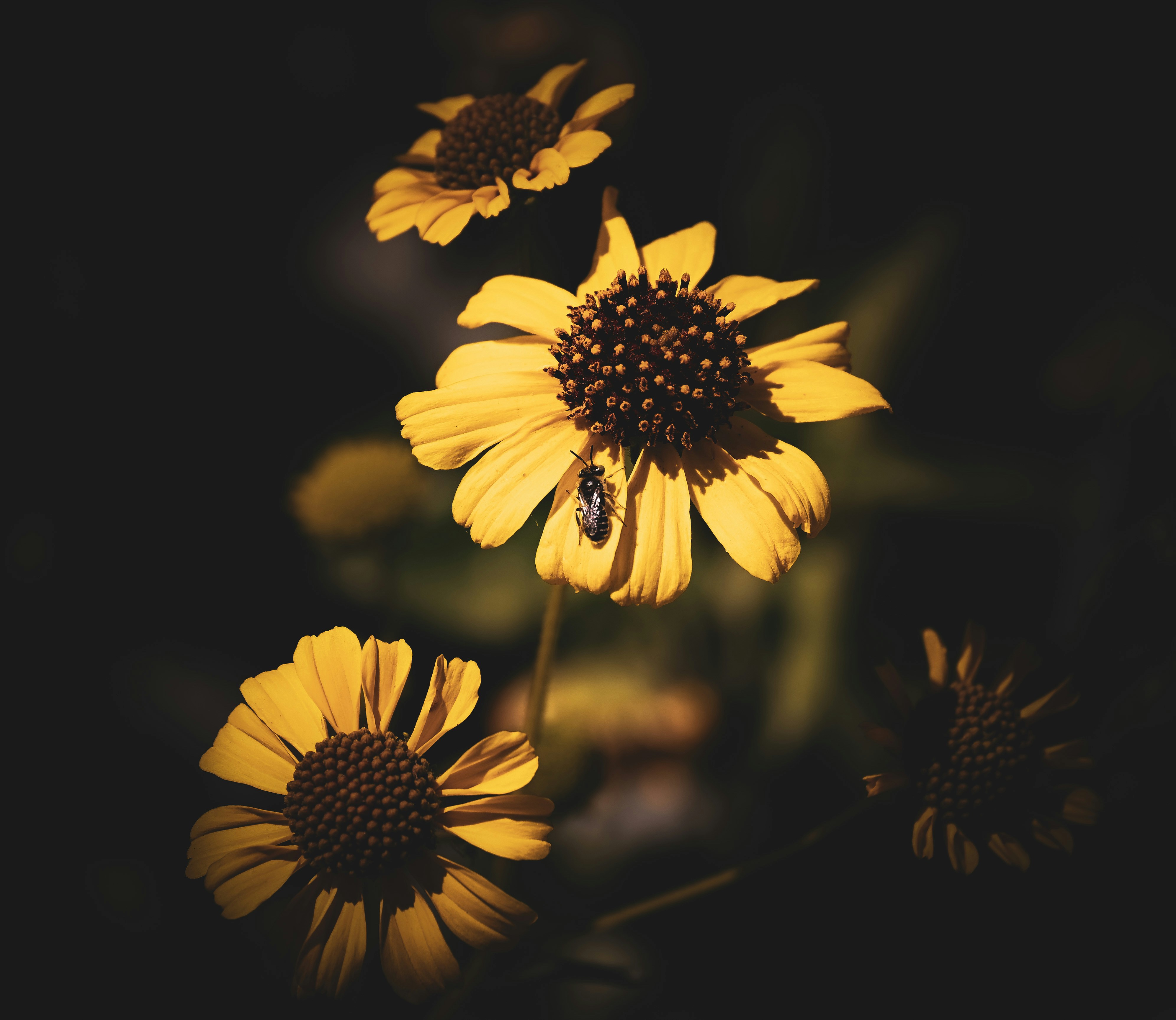 Photo by wildfaithphotography