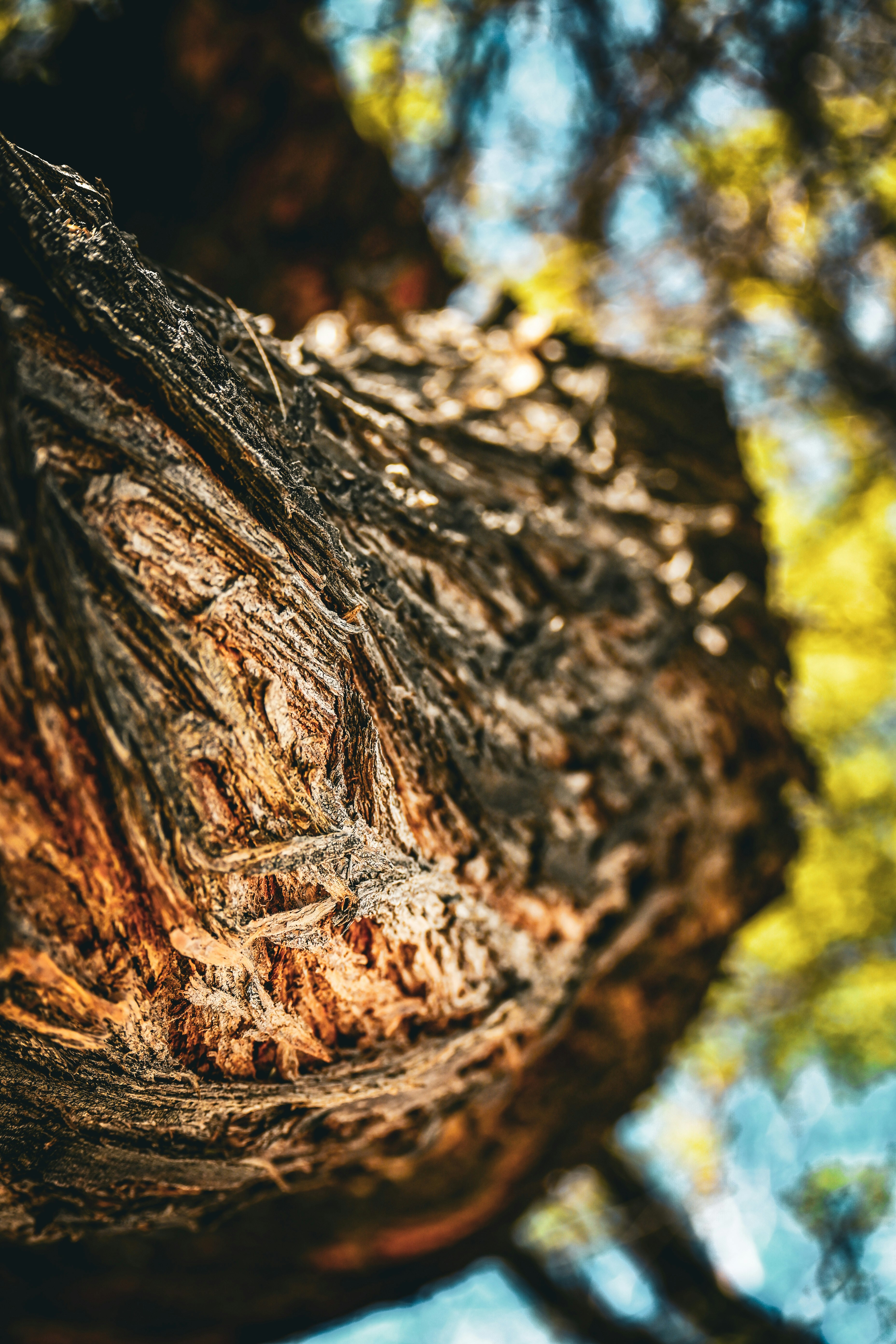 Photo by wildfaithphotography