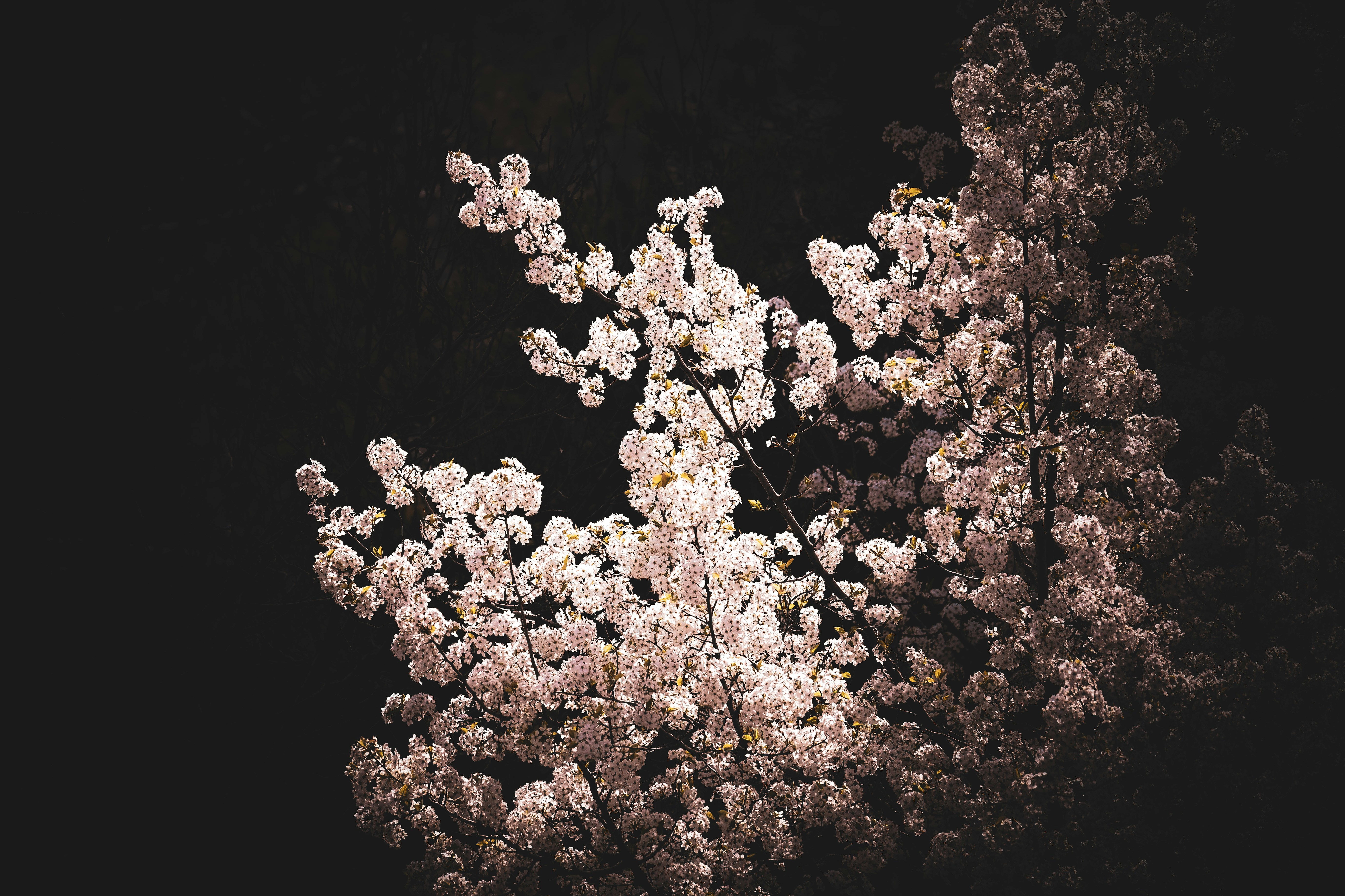 Photo by wildfaithphotography