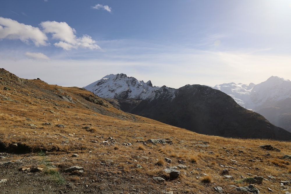 a grassy field with mountains in the background