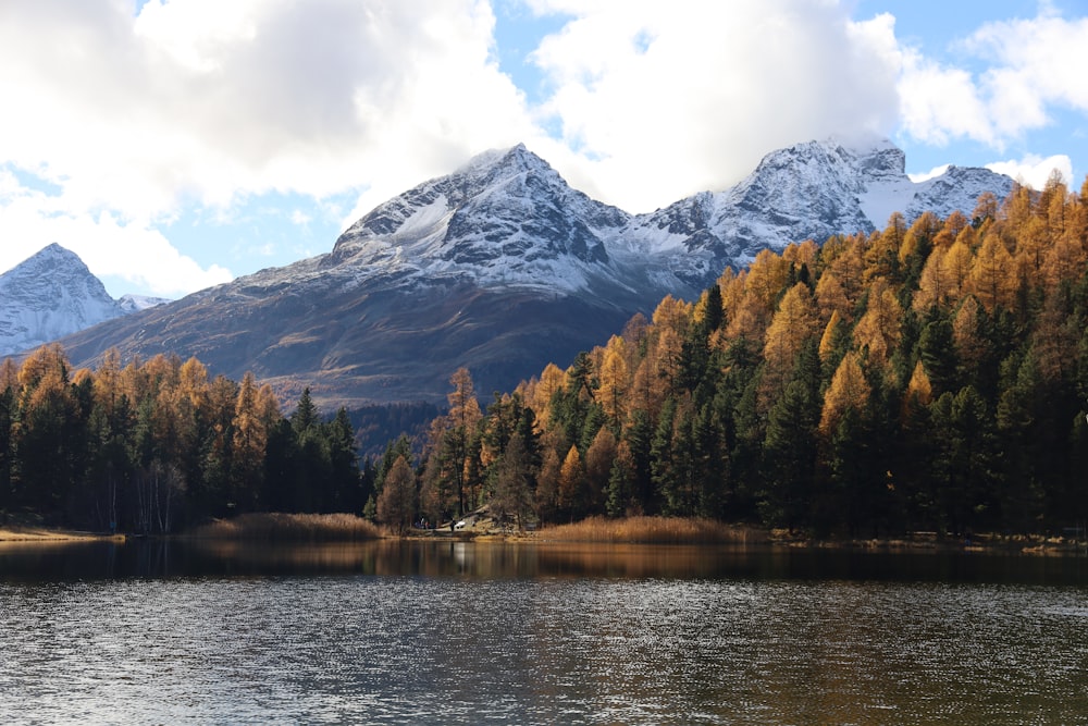 a lake surrounded by trees with a mountain in the background