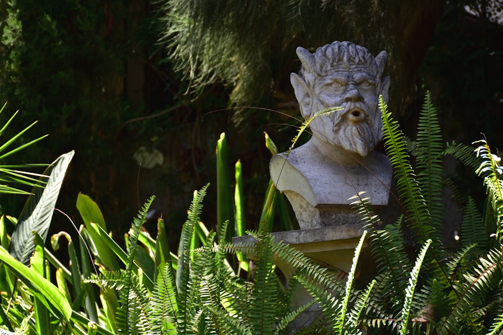 Una estatua de una gárgola rodeada de plantas