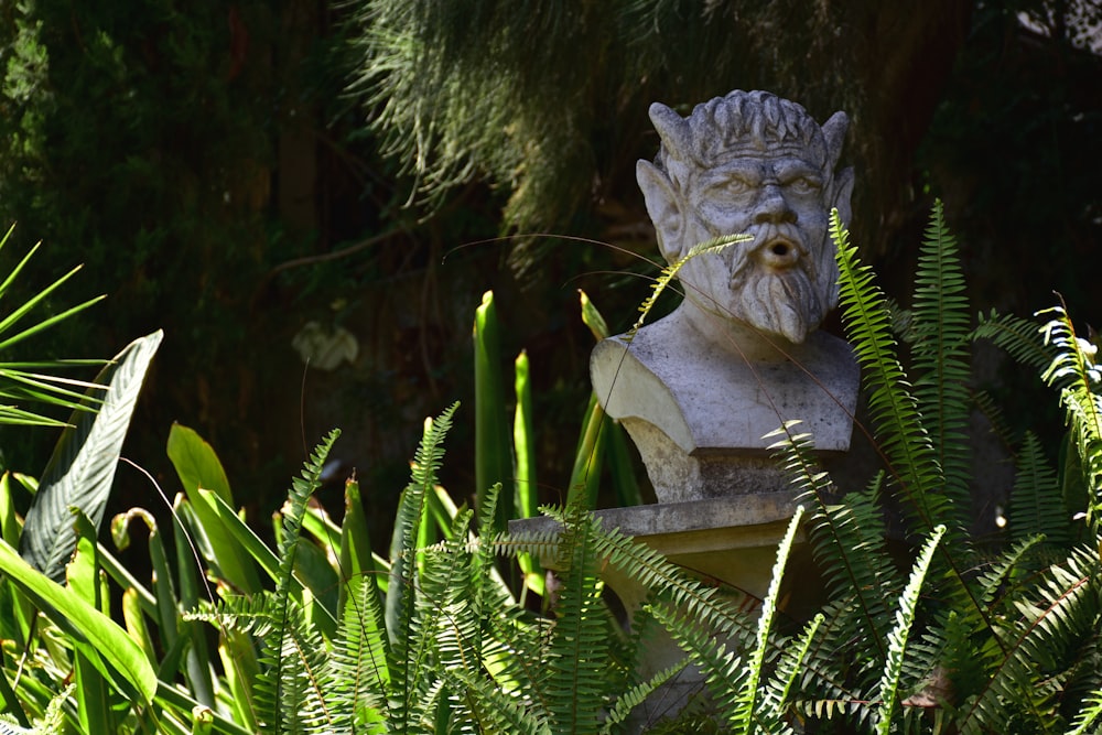 eine Statue eines Wasserspeiers, umgeben von Pflanzen