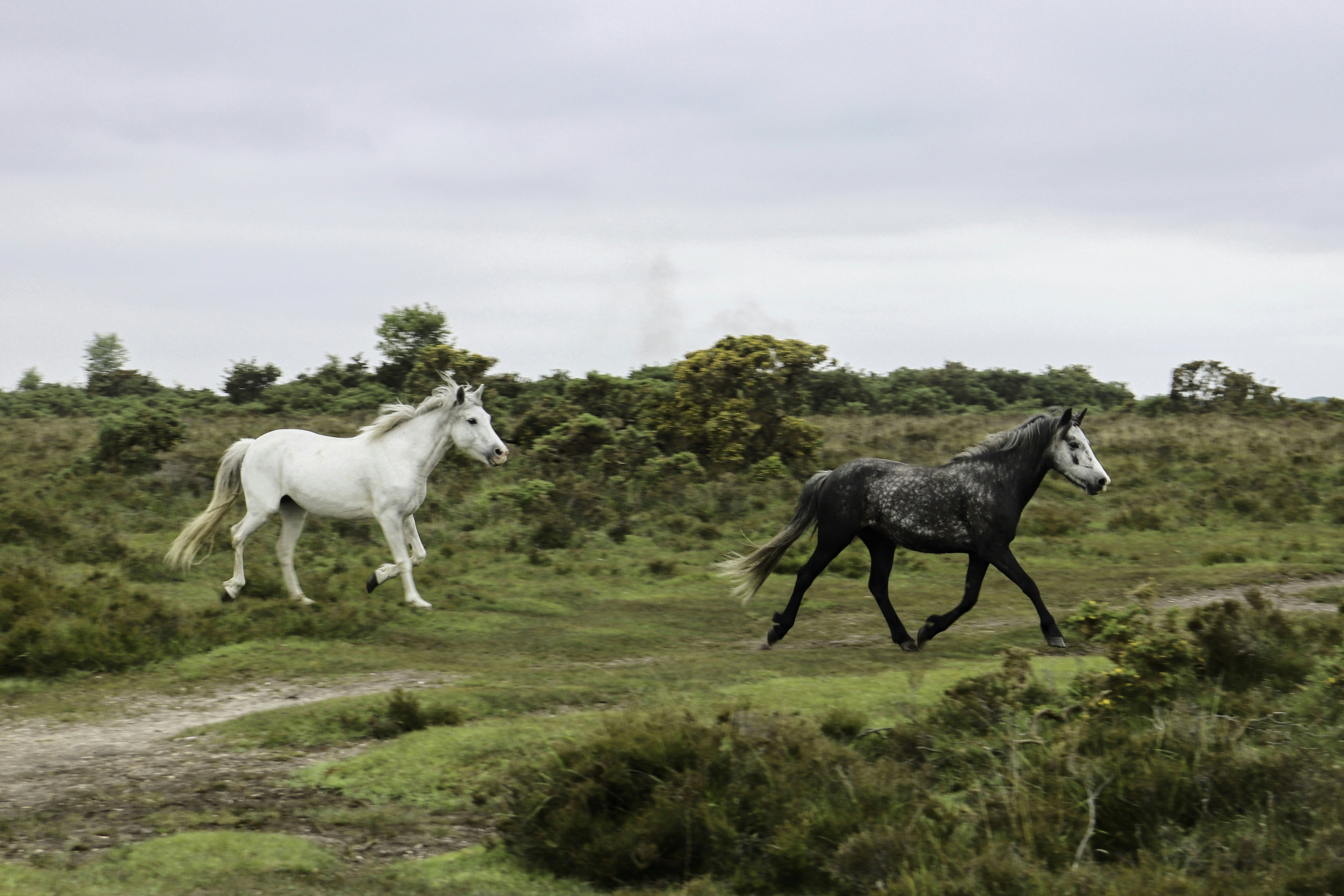 Image by Olivia Pedler via Unsplash