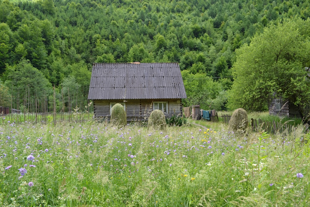 una piccola cabina in mezzo a un campo