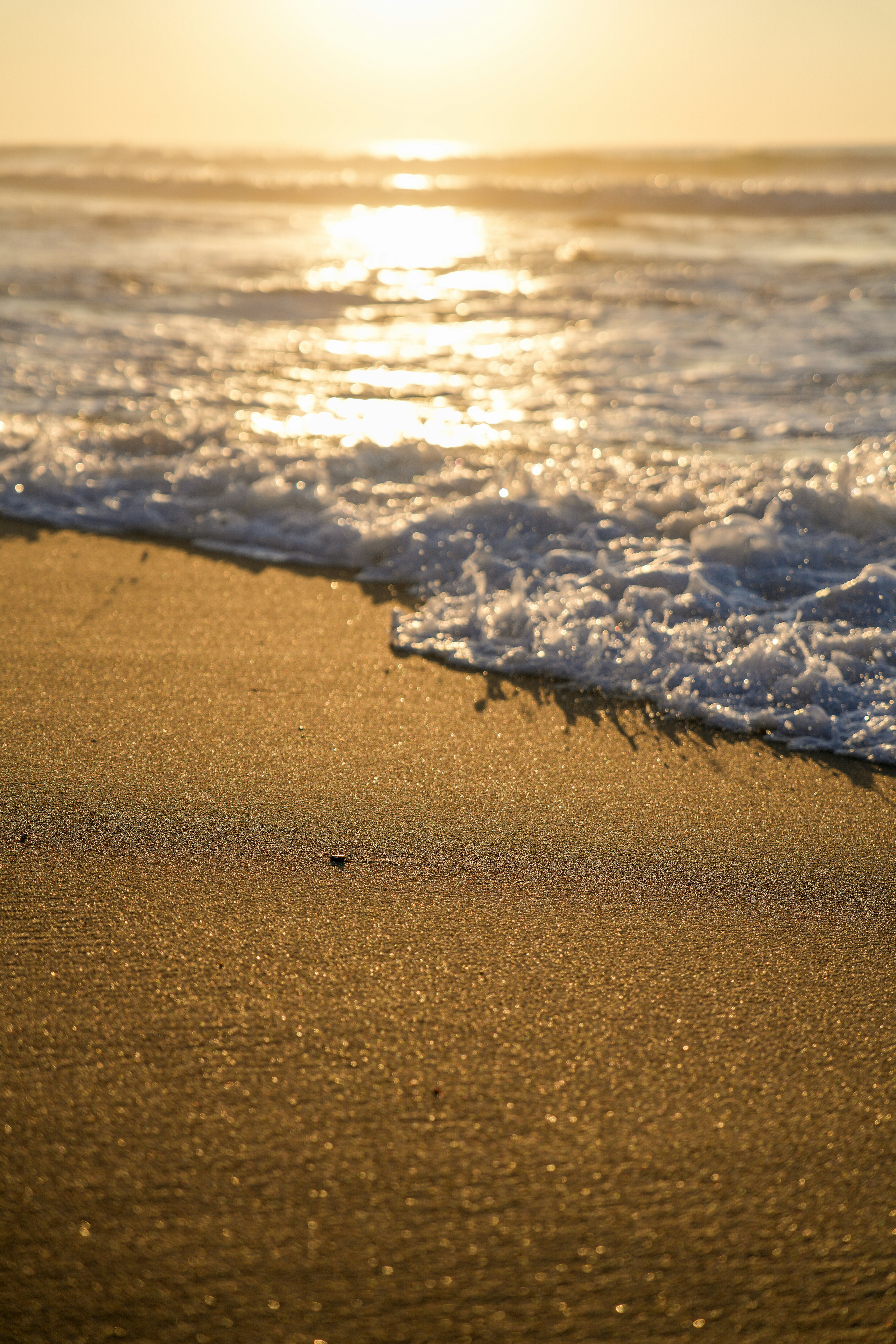 Photo by beyounggreenplanet