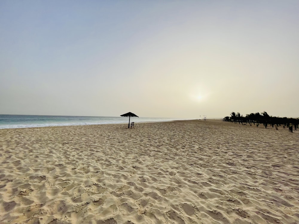 une plage de sable avec des gens qui marchent dessus